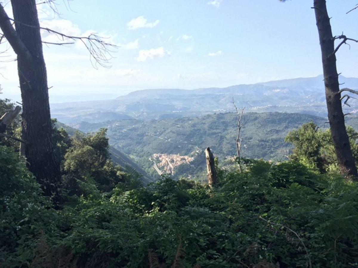 B&B Grandinetti Nocera Terinese Luaran gambar