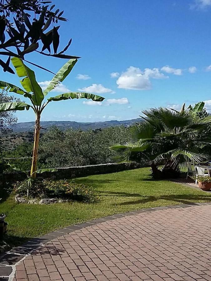 B&B Grandinetti Nocera Terinese Luaran gambar